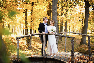 シーズン限定プラン