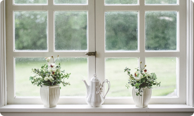 ピックアップ画像1